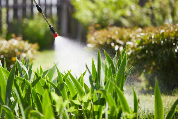 24/7 Emergency Mosquito Control experts in Deatsville, AL