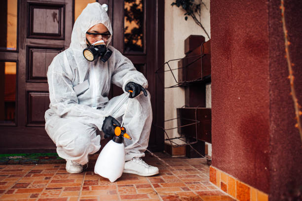 Reliable Mosquito Control contractor in Deatsville, AL by Show Me Pest Control